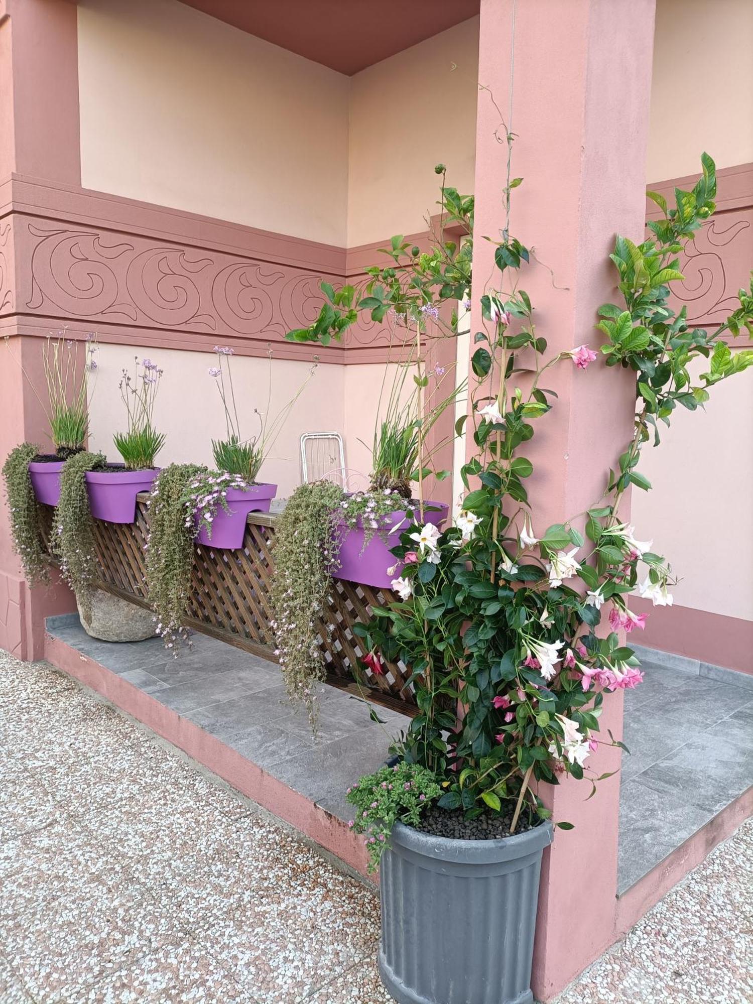 Maison Belle Epoque & Suites Oristano Room photo